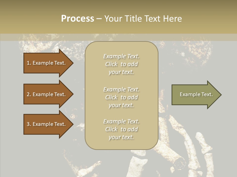 Skeleton Stain Closeup PowerPoint Template