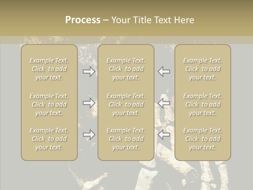 Skeleton Stain Closeup PowerPoint Template