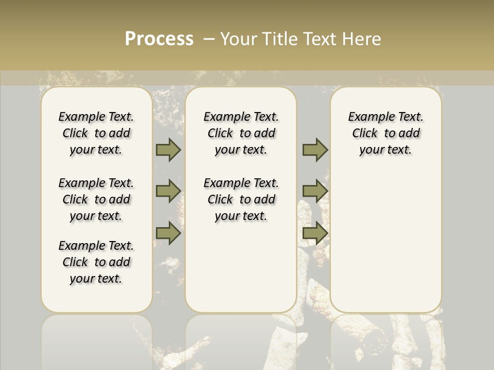 Skeleton Stain Closeup PowerPoint Template