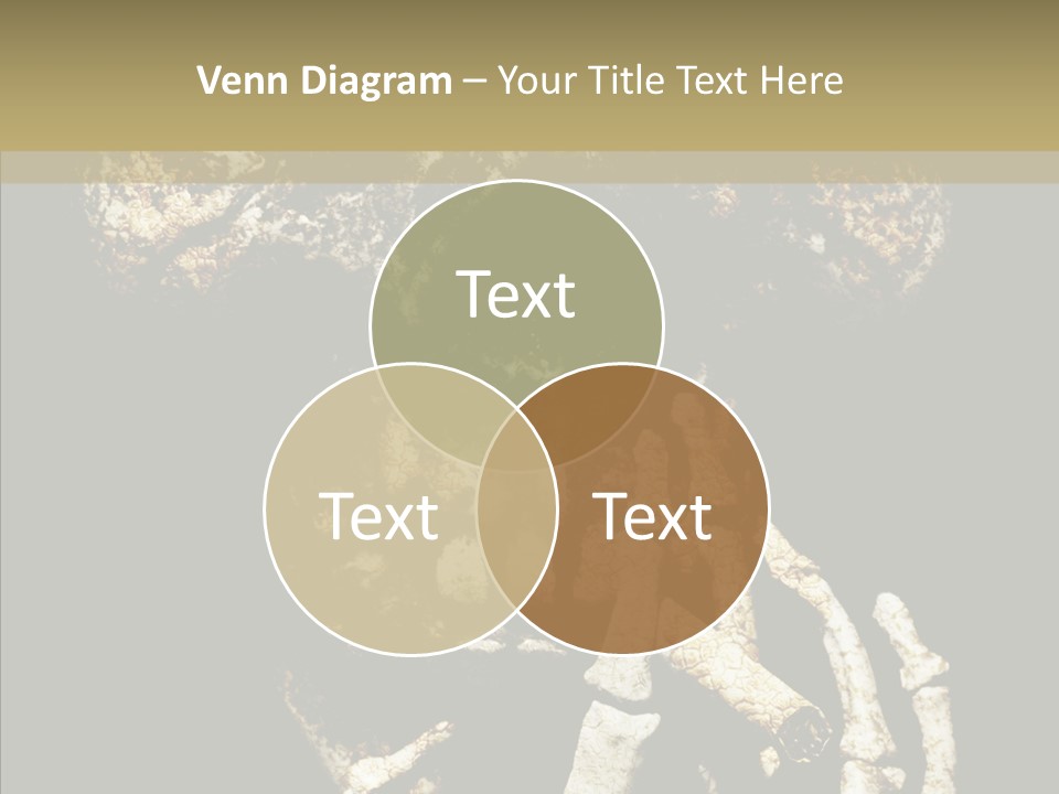 Skeleton Stain Closeup PowerPoint Template