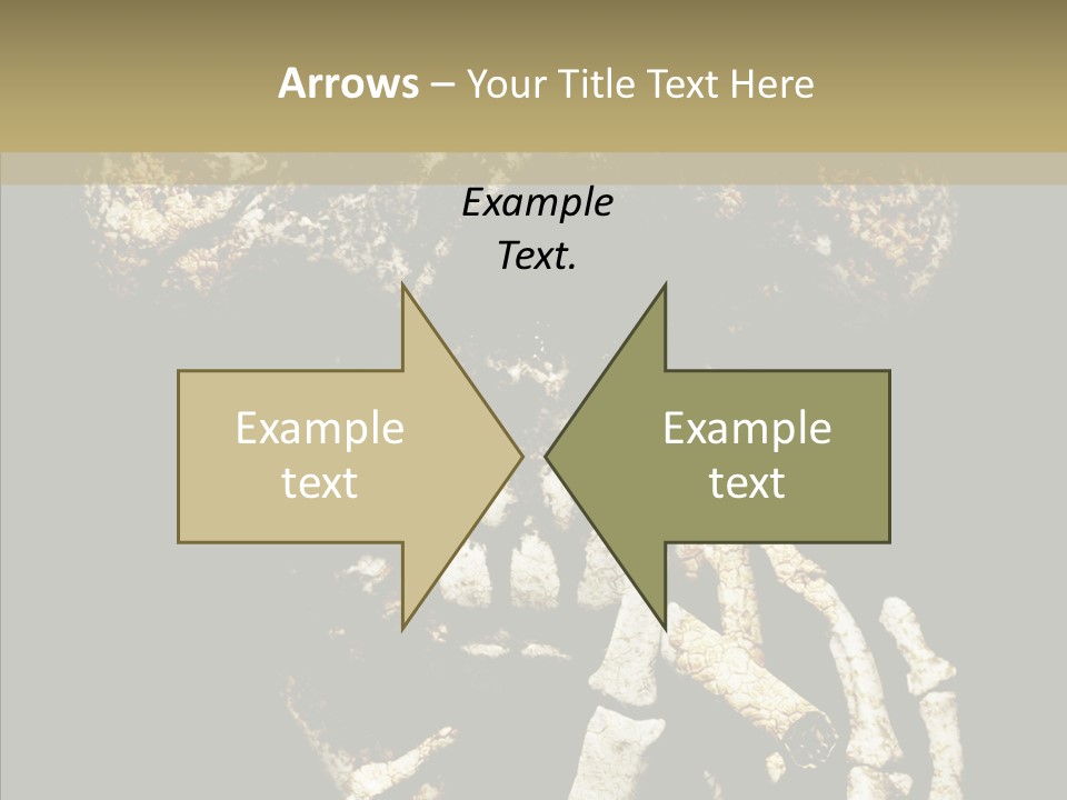 Skeleton Stain Closeup PowerPoint Template