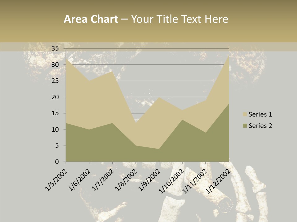 Skeleton Stain Closeup PowerPoint Template