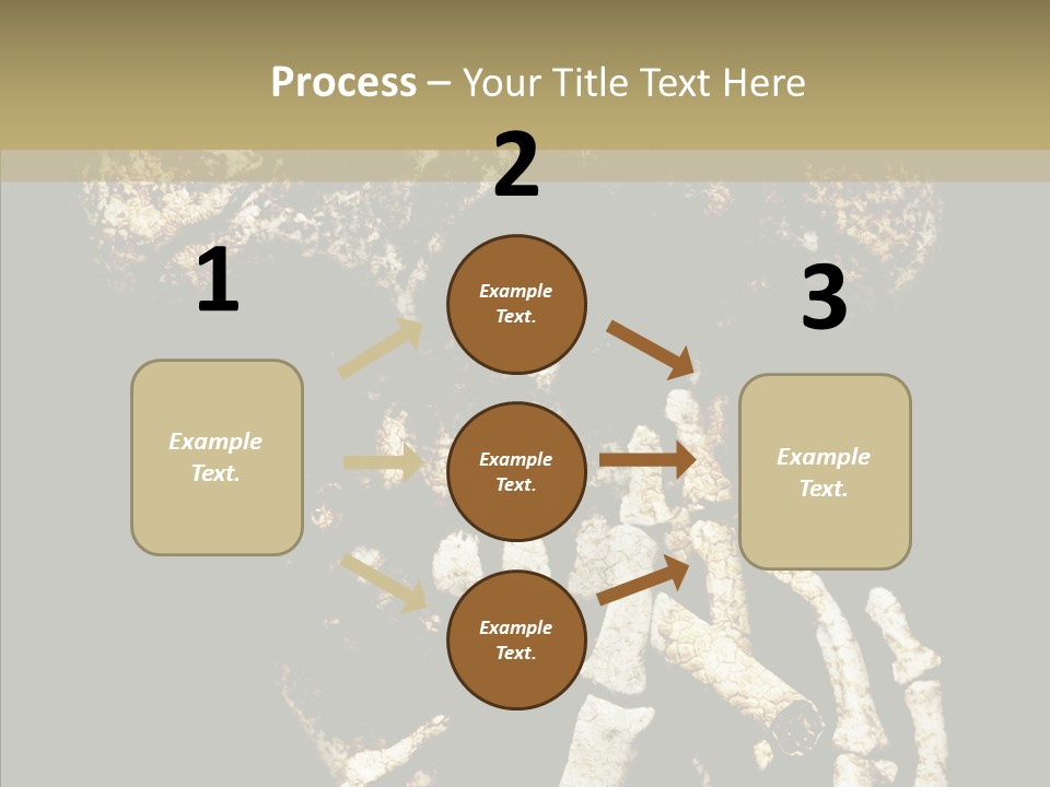 Skeleton Stain Closeup PowerPoint Template