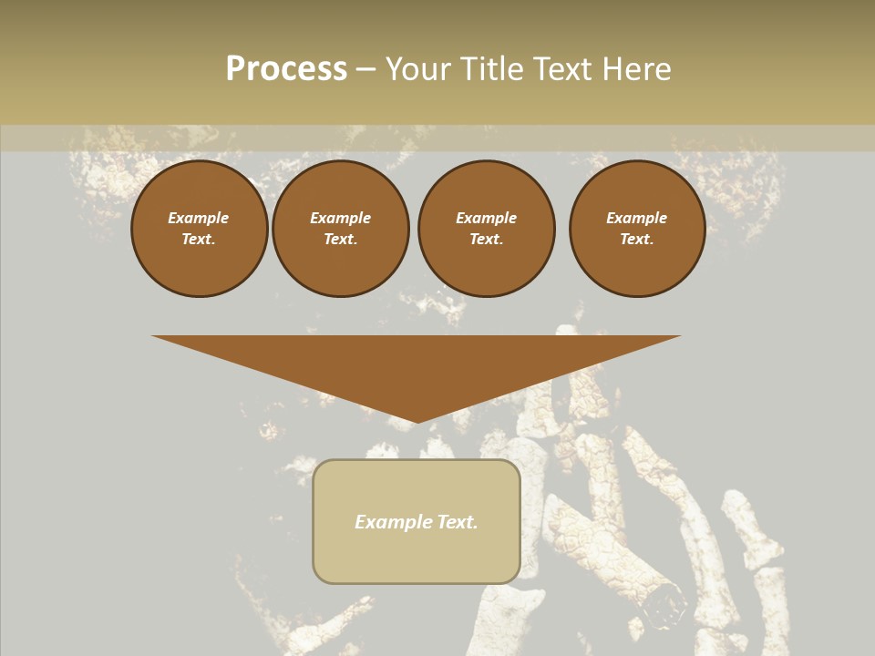Skeleton Stain Closeup PowerPoint Template