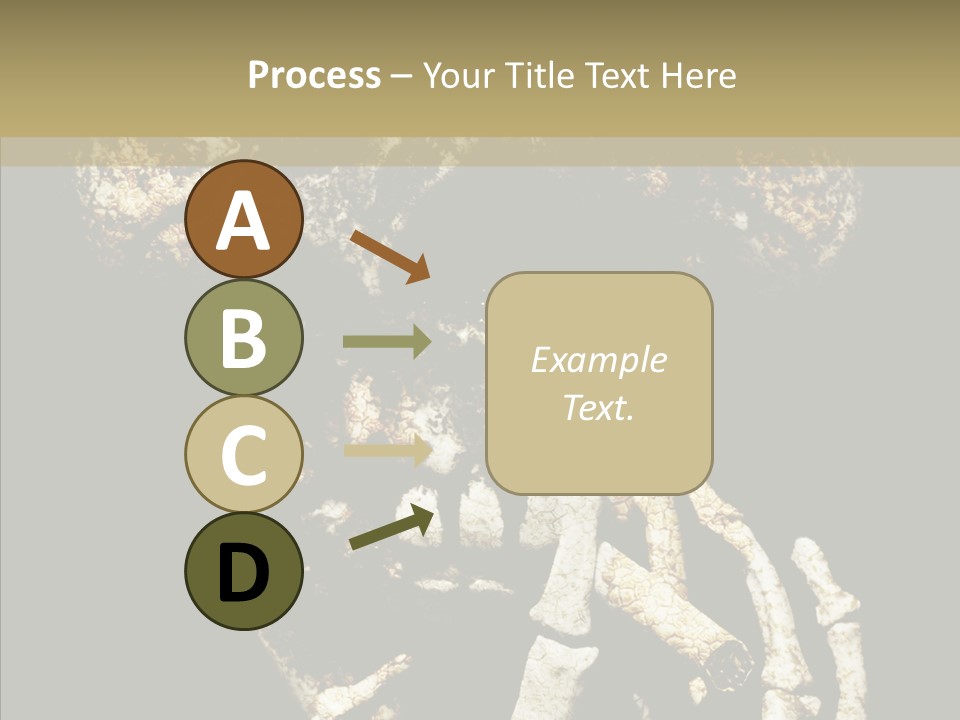 Skeleton Stain Closeup PowerPoint Template