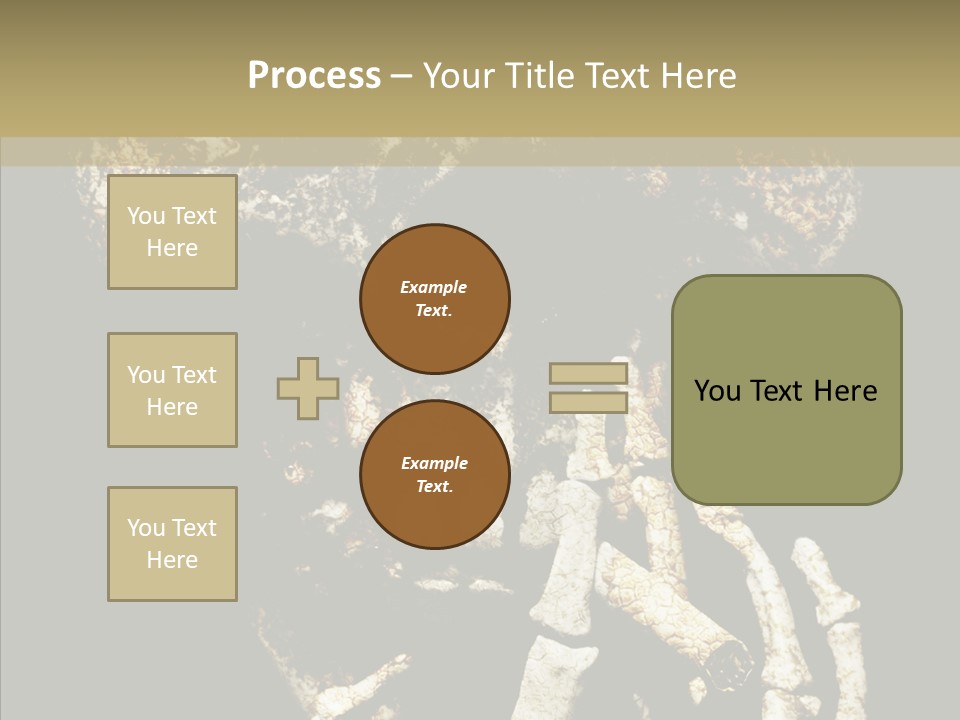 Skeleton Stain Closeup PowerPoint Template