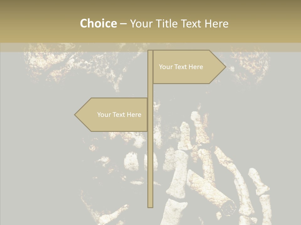 Skeleton Stain Closeup PowerPoint Template