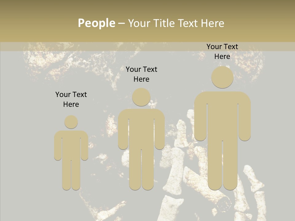 Skeleton Stain Closeup PowerPoint Template