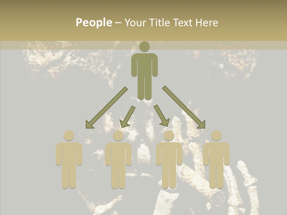 Skeleton Stain Closeup PowerPoint Template