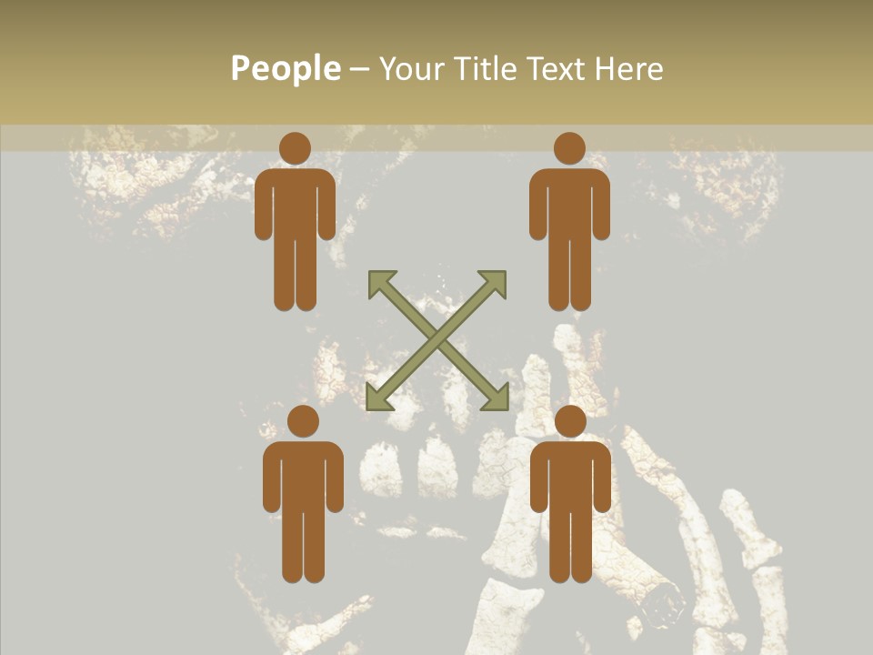 Skeleton Stain Closeup PowerPoint Template