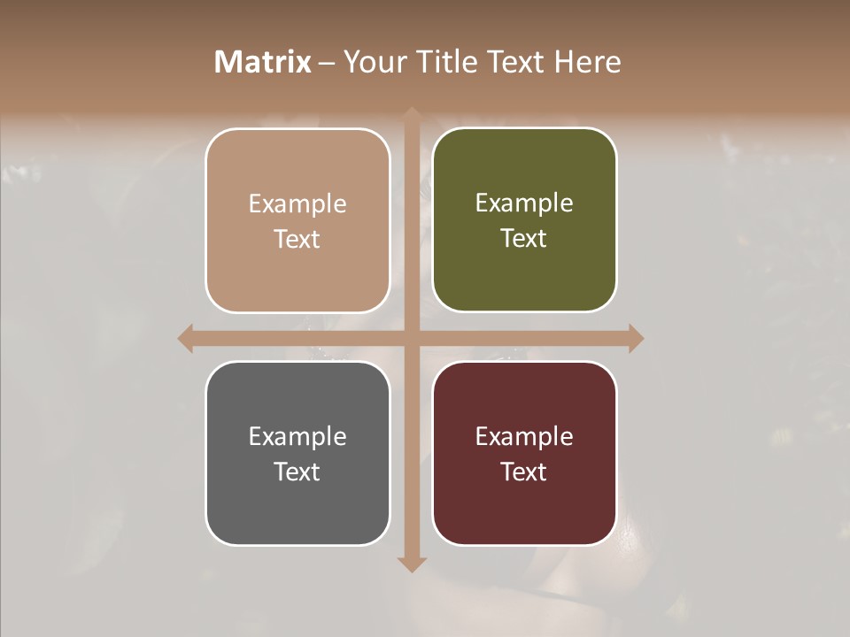 Brea T Lim  PowerPoint Template