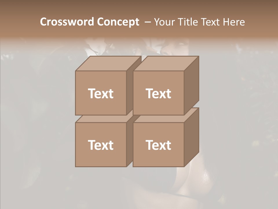 Brea T Lim  PowerPoint Template