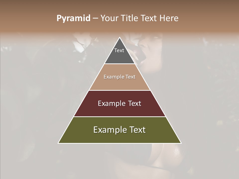 Brea T Lim  PowerPoint Template