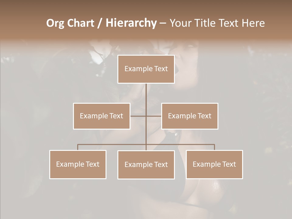 Brea T Lim  PowerPoint Template
