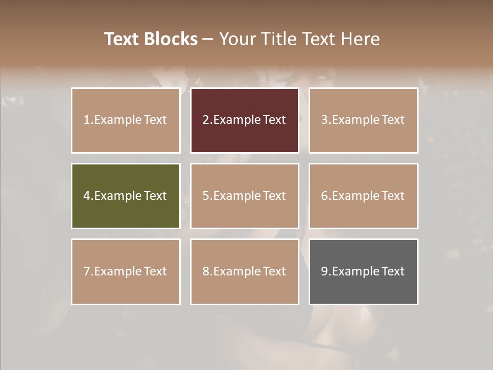 Brea T Lim  PowerPoint Template