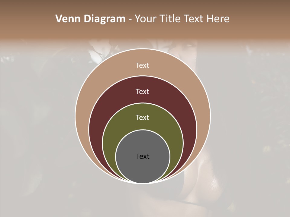 Brea T Lim  PowerPoint Template