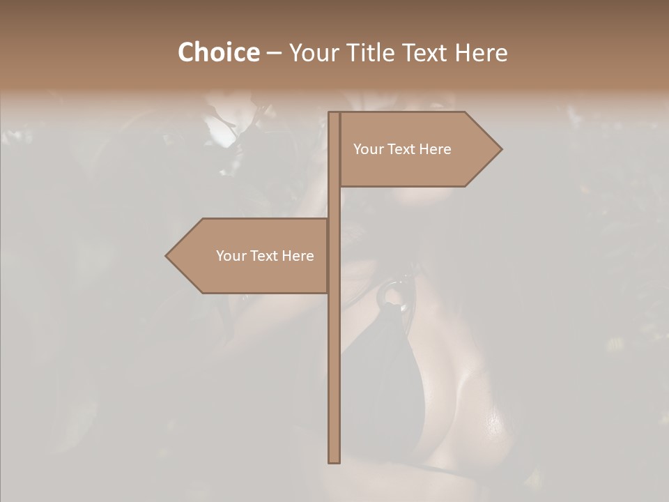 Brea T Lim  PowerPoint Template