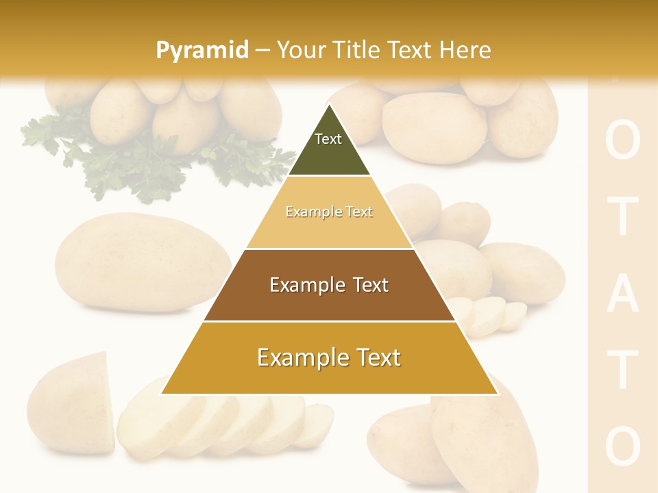Carbohydrate Vegetarian Food PowerPoint Template