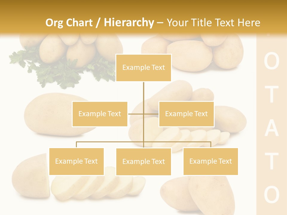 Carbohydrate Vegetarian Food PowerPoint Template