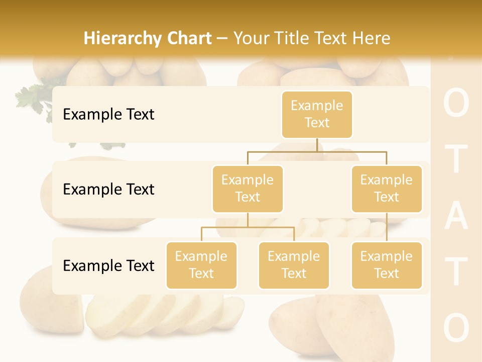 Carbohydrate Vegetarian Food PowerPoint Template
