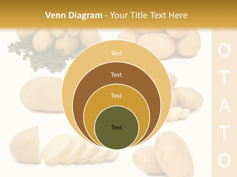 Carbohydrate Vegetarian Food PowerPoint Template