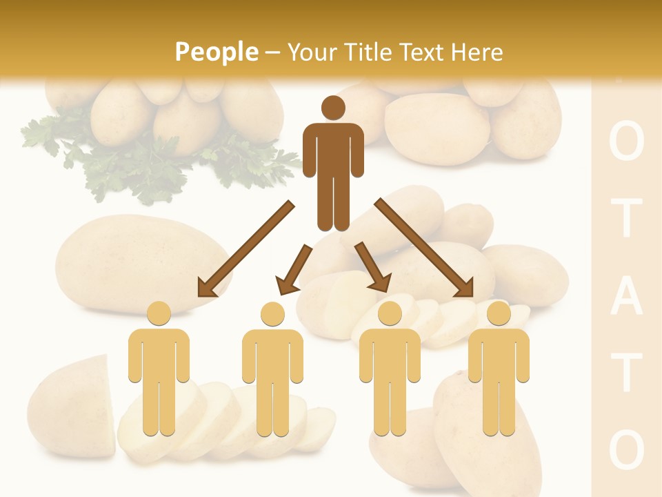 Carbohydrate Vegetarian Food PowerPoint Template