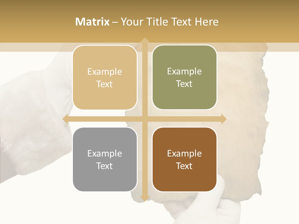 Room Corporation Profe Ional PowerPoint Template