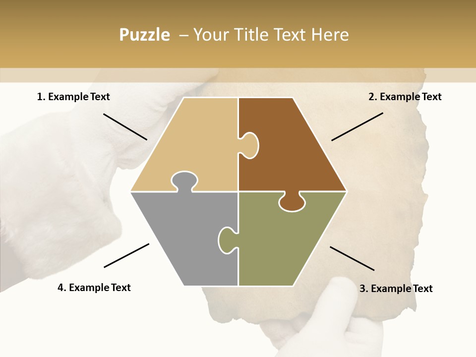 Room Corporation Profe Ional PowerPoint Template