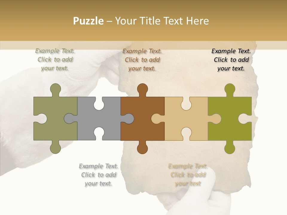 Room Corporation Profe Ional PowerPoint Template