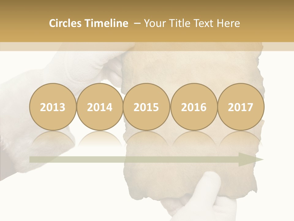 Room Corporation Profe Ional PowerPoint Template