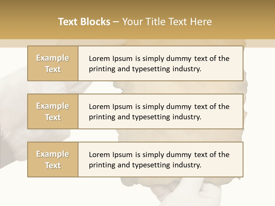 Room Corporation Profe Ional PowerPoint Template