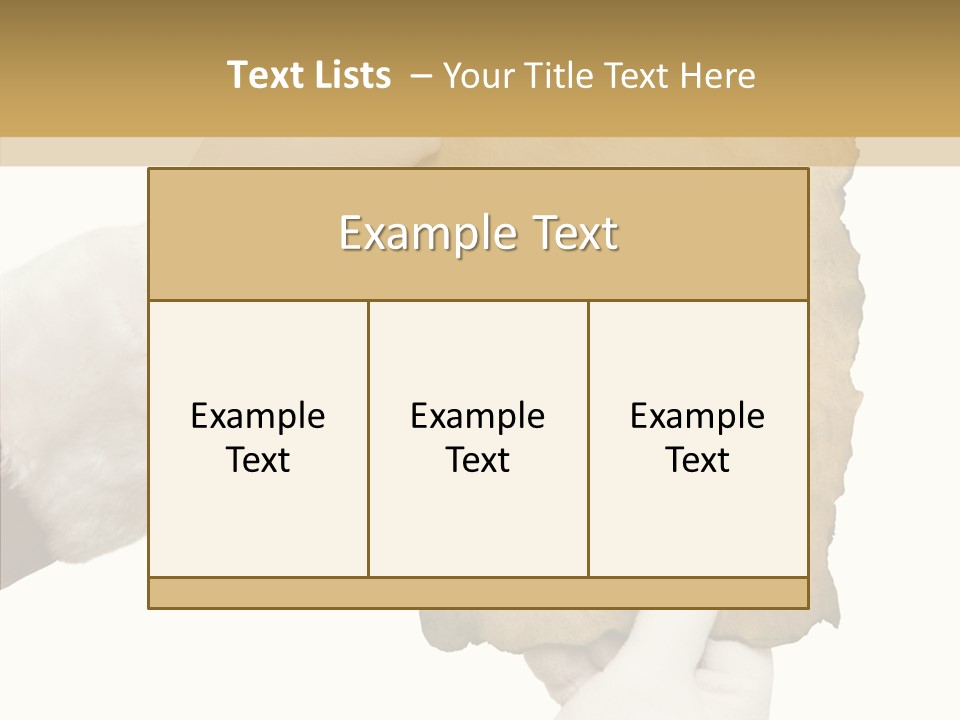 Room Corporation Profe Ional PowerPoint Template