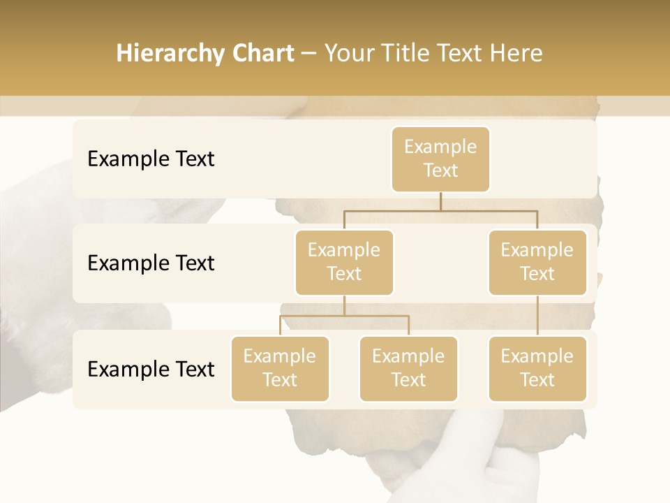 Room Corporation Profe Ional PowerPoint Template