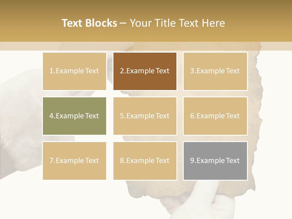 Room Corporation Profe Ional PowerPoint Template