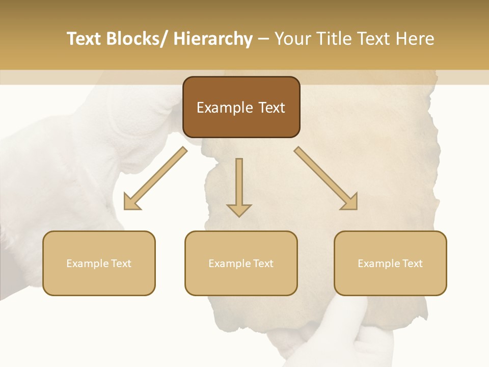 Room Corporation Profe Ional PowerPoint Template