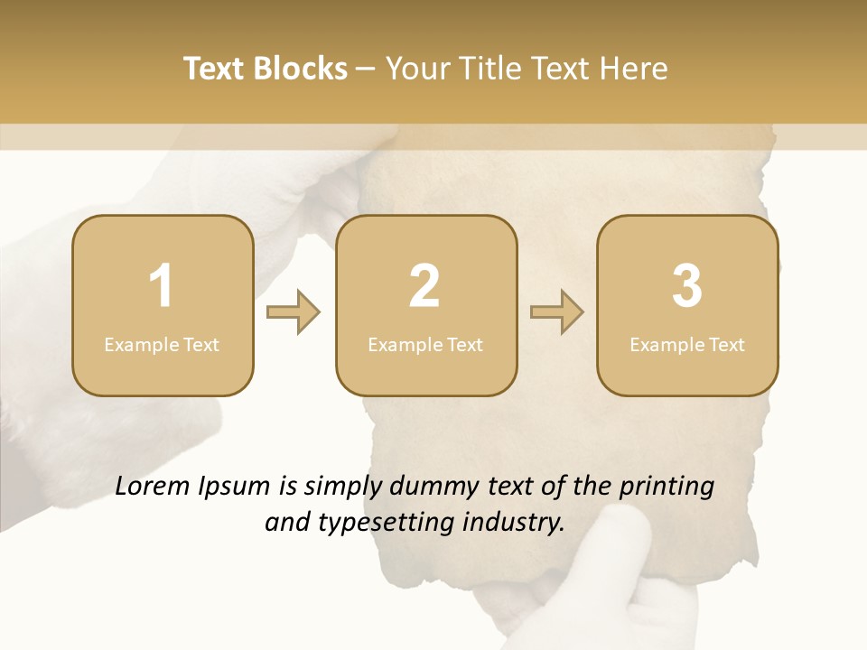 Room Corporation Profe Ional PowerPoint Template