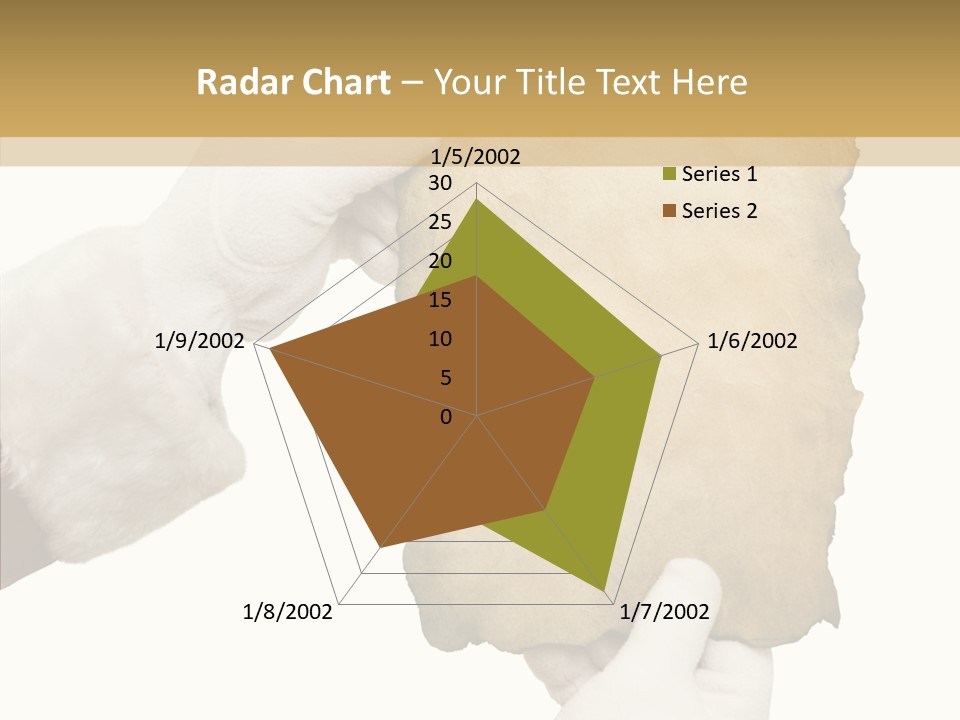 Room Corporation Profe Ional PowerPoint Template