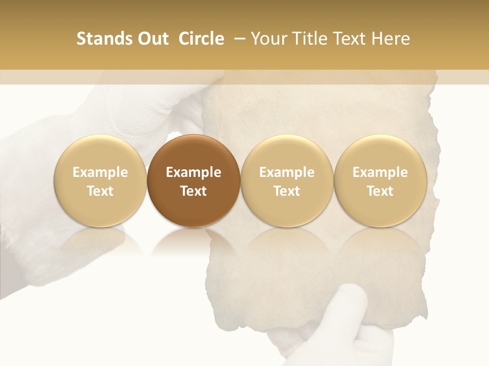 Room Corporation Profe Ional PowerPoint Template