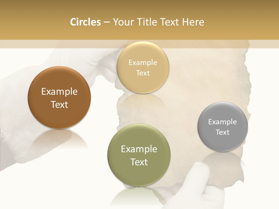 Room Corporation Profe Ional PowerPoint Template