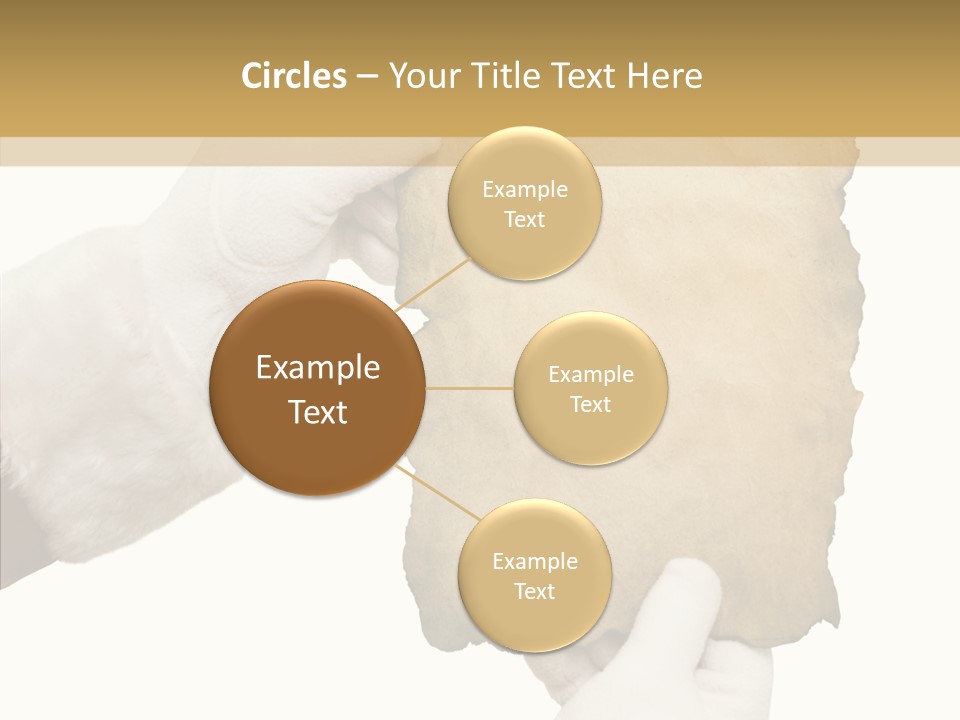 Room Corporation Profe Ional PowerPoint Template