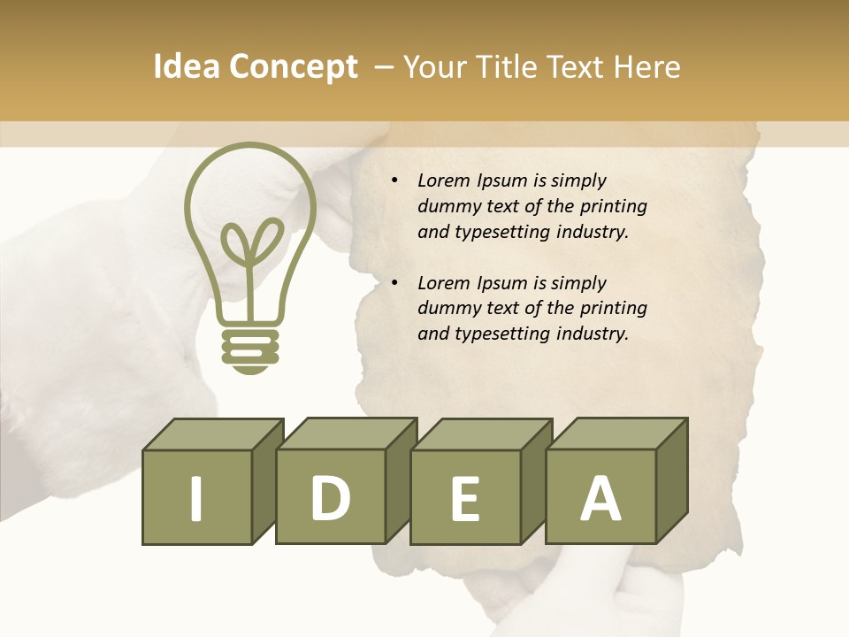 Room Corporation Profe Ional PowerPoint Template