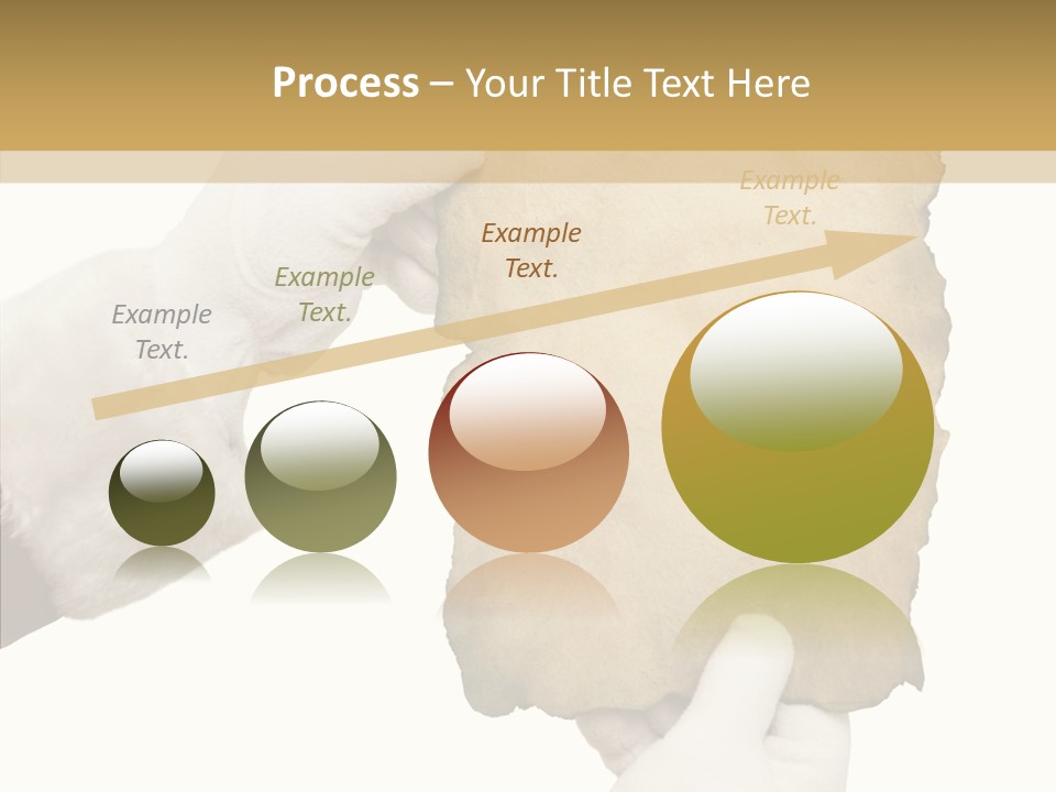 Room Corporation Profe Ional PowerPoint Template