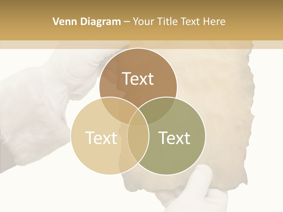 Room Corporation Profe Ional PowerPoint Template