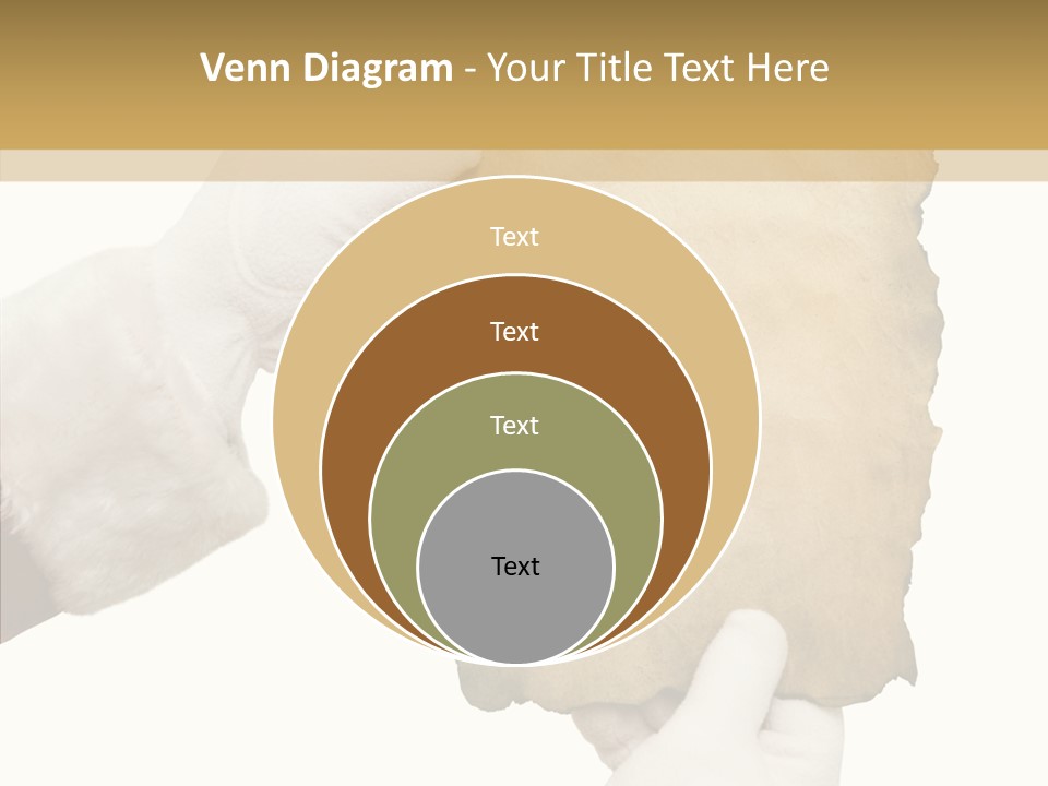 Room Corporation Profe Ional PowerPoint Template