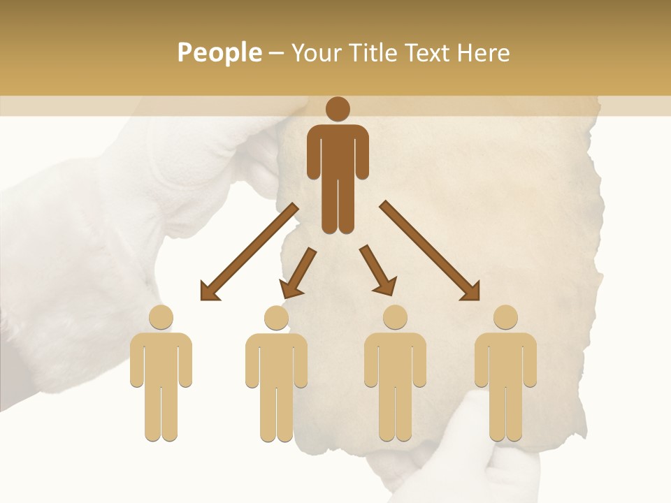 Room Corporation Profe Ional PowerPoint Template