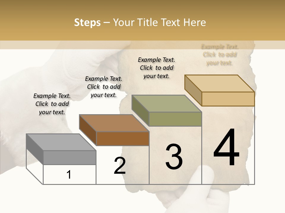 Room Corporation Profe Ional PowerPoint Template