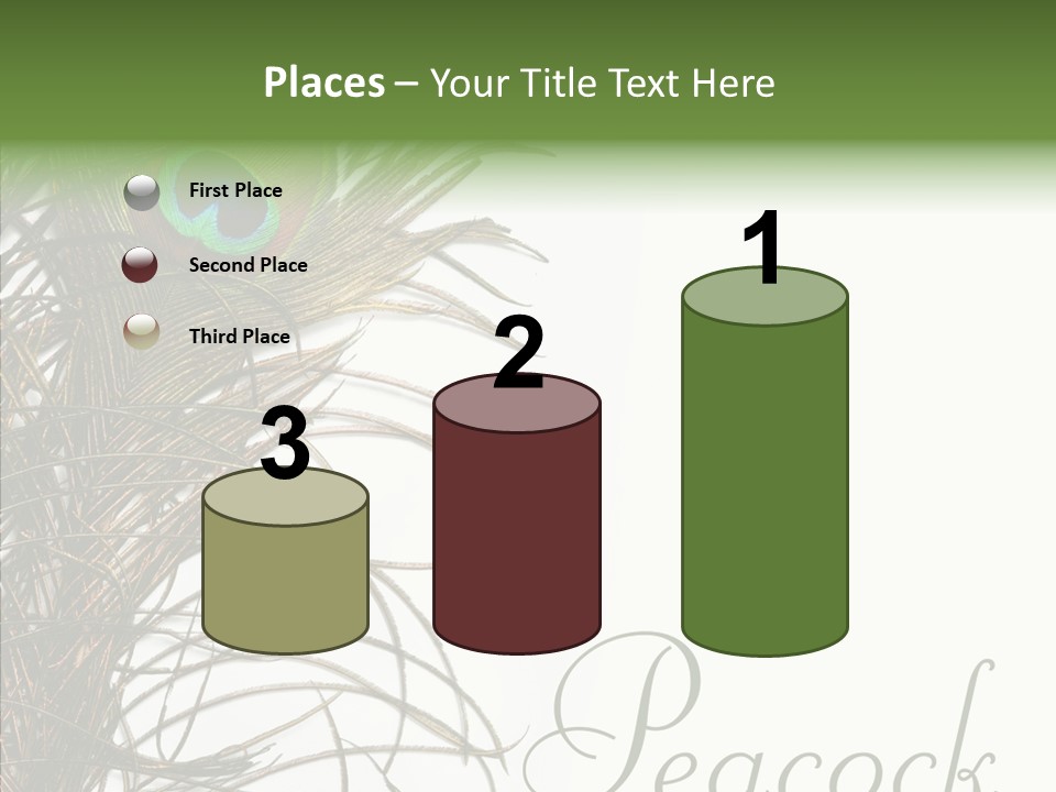 Green Tail Male PowerPoint Template