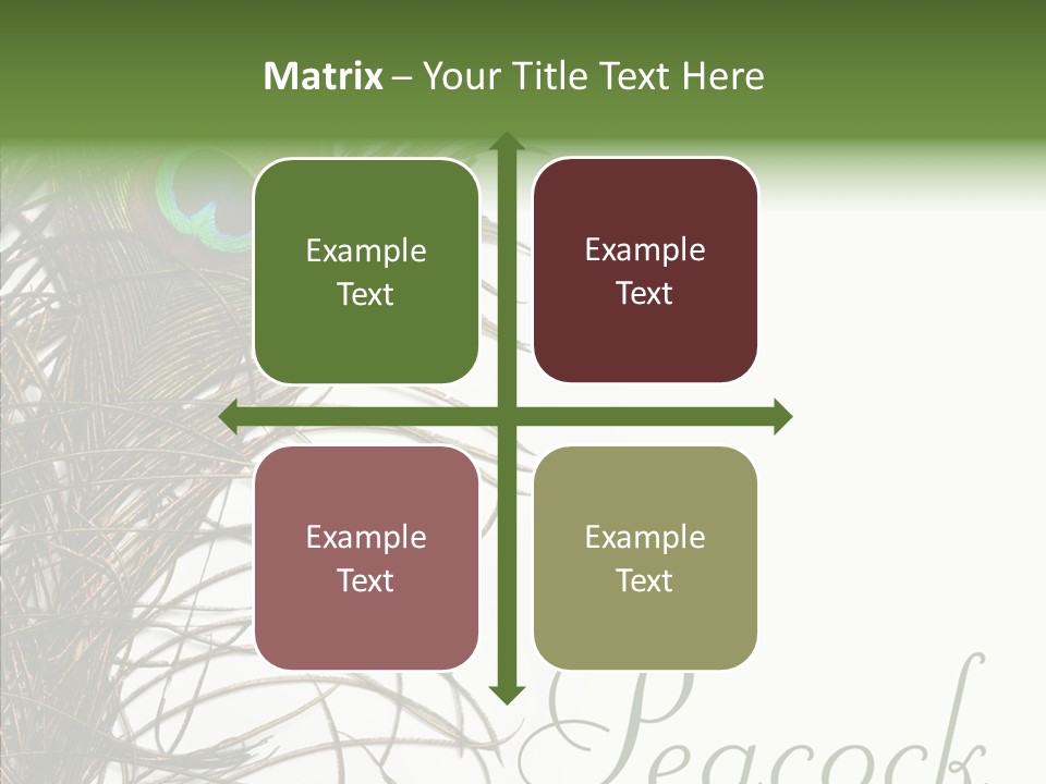 Green Tail Male PowerPoint Template