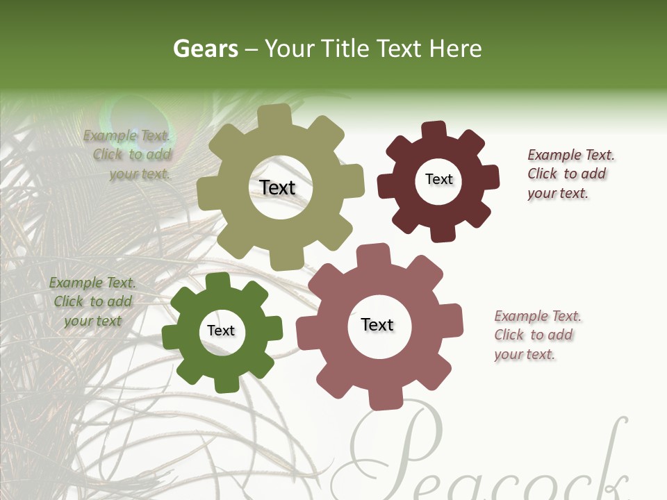 Green Tail Male PowerPoint Template