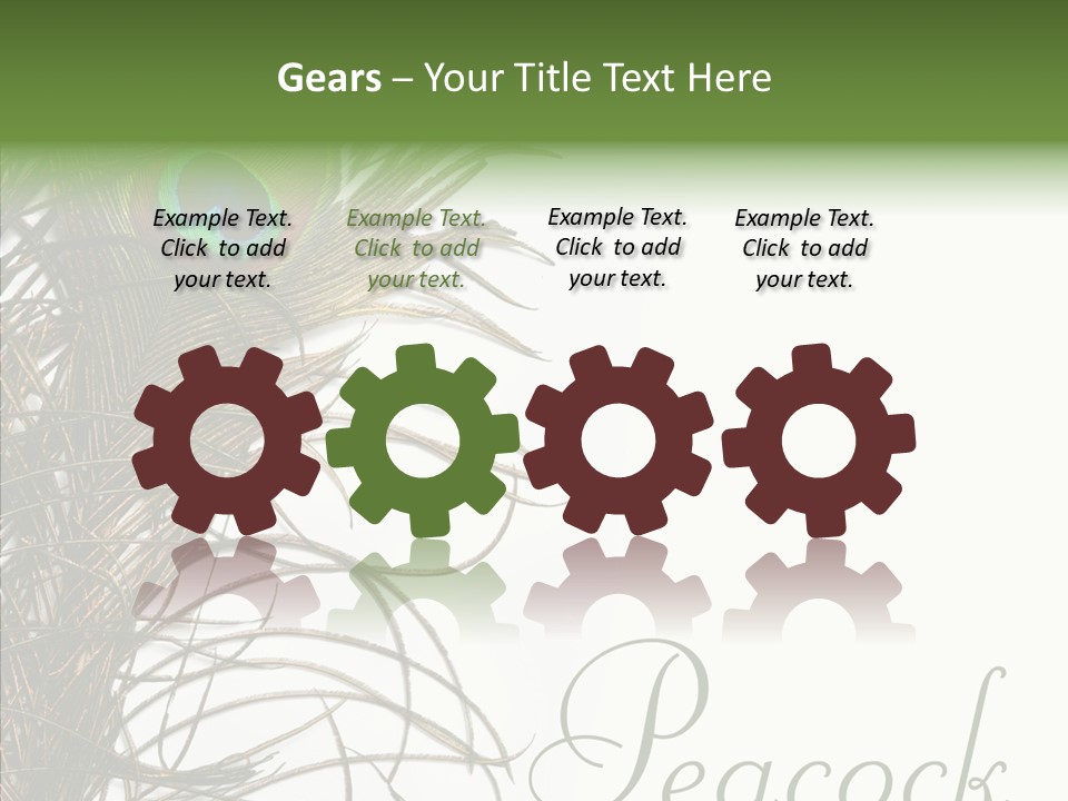 Green Tail Male PowerPoint Template